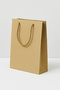 25X38Cm Kraft Bag 6 Pcs Thick Bag Gift Bag - 6
