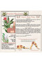 60 Yoga Pose Physical Cards |   Yoga Anatomy Deck |   包括梵语、说明 - 2