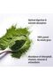 Wheat Grass Juice Powder | 150 g | Instant Wheat Grass Juice | High in Vitamins A - 5