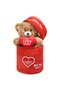 140 Special Heart (I Love You) Written Cute Plush Teddy Bear - Lover in a Plush Bag - 5