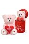 140 Special Heart (I Love You) Written Cute Plush Teddy Bear - Lover in a Plush Bag - 2