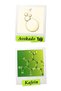 Instantly Revitalizing and Intensely Moisturizing Eye Cream with Avocado Oil Formula 14 ml - 7