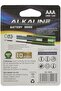 AAA LR03 Alkaline Battery 4-Pieces - 8