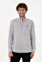 Men's Striped Gray Shirt 50306310-Vr024