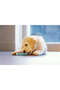 Puppy Toy, Refrigerable for Teeth Scratching, Tpr, Blue, 10X10X2,3Cm Zrnet - 4