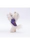 Purple Space Time Cat Dog T-Shirt - Cat Dog Apparel - 3