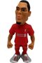 Liverpool Van Dijk 11285