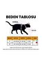 New Cute Anti-Escape Cat Walking Body Collars - 5