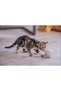 Kitten Toy, Wool Ball with Tail, 6.5cm, 35cm Tail Yktsn - 4