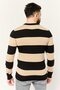 Men Crew Neck Long Sleeve Stripe Sweater, Multicolor - 4