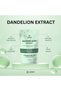 Pure Dandelion Extract , 100 gram Pack Supports Liver Health And Detoxification - 3
