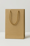 25X38Cm Kraft Bag 6 Pcs Thick Bag Gift Bag - 5