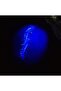 Glow-in-the-Dark Highlighter Centipede