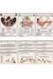 60 Yoga Pose Physical Cards |   Yoga Anatomy Deck |   包括梵语、说明 - 3