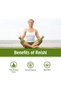 Superfood OM REISHI ORGANIC MUSHROOM POWDER 100G - 8