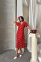 Dipmoda Women Viscose Polka Dot Print Shirt Dress Dpg083 - 5
