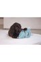 Dog Toy, Plush, Turquoise, 16X18X8,5Cm Inslm - 3