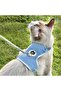 New Cute Anti-Escape Cat Walking Body Collars - 4