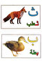 الحروف العربية - 2