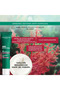 New Mattifying Gel Cream Special for Skin Prone to Acne - Vegan Care Formula 40 ml - 2