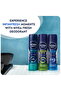 Men Antiperspirant Spray Fresh Active 2 x 150ml – Long-Lasting Freshness - 9