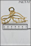 Gold Color Metal Latch Buckle Bow Shaped Stylish Hair Clip 7 cm - 5