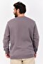 Men Crew Neck Brand Logo Long Sleeves Sweatshirt, Grey - 3