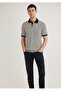 Polo Collar Slim Fit Striped Men's T-Shirt