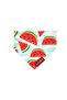 Watermelon Cat And Dog Leash Scarf Bandana - 3