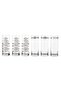 Gold Fish Raki Glass Set of 6 -200Ml