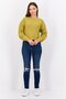 Women Pointelle Long Sleeves Sweaters, Mustard - 3