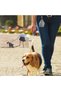 Dog Treat Bag with Clip Buckle, Training Snack Pouch, Waterproof Oxford Cloth, Portable for Walks - 5