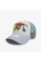 Fruit Graphic La Dodgers Unisex Blue Hat