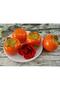 Artificial Fruit Paradise Persimmon Fruit Tropical Fruit 12*7cm 1Pc - 5
