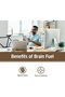 Om Organic Mushroom Nutrition OM Brain Fuel Mushroom Superfood 90VCAPS - 6