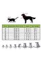 Adjustable Protective Collar Size 5 - 3