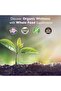 Plant Based Collagen Builder | Keratin and Elastin | Provides Youthful, Beautiful Skin - 8