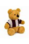 Wonderful Plush 55 Cm Cute Teddy Bear with T-Shirt - 3