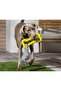 Dog Toys
