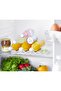 Bottle Holder for Refrigerator