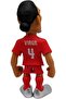 Liverpool Van Dijk 11285 - 2