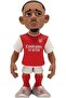 Arsenal Gabriel Jesus 11056