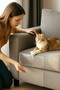 10 Pieces Cat Sofa Scratching Protector 20X50 cm Transparent Adhesive Furniture Anti-Scratching Tape - 7