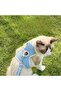 New Cute Anti-Escape Cat Walking Body Collars - 4