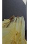 Frilly Yellow Blouse - 4