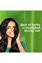 Volume & Thickness Shampoo 400ml Thicker Hair | Gentle Herbal Cleanser for Daily use - 2
