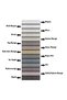 Linen Look Ecru Color Suitable for Every Room High Quality Does Not Need Ironing Best Selling Tulle P - 5