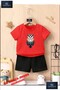 Children's Owl Geometric Custom Printed Crew Neck T-Shirt - Shorts Set