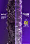 385 ml Biotin & Collagen Plumping Shampoo - 2 Pieces - 4