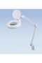 Magnifying Lamp with Clamp - Diopter - White 5X Desk Magnifier Lamp, Adjustable Swivel & Swing Arm
